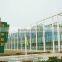 Venlo Type Glass Greenhouse