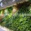 Artificial green plant wall for partition wall decoration