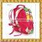 School Bags for Teenagers