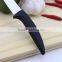 Never Rust Sharp Blade Mini Ceramic Knife With Black Handle