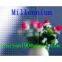 3mm-6mm Clear Pattern Glass