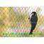 Anti-bird Net