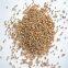 Factory Supply High Quality Abrasive Walnut Shell Sand 18-40# 36-60# for Pet litter