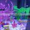 MOQ 500 pieces Wholesale Automatic Filter betta fish tropical fish live LED table fish farming tank aquarium