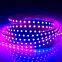 Chinese factory rgb led 36leds/m lc8812 sk6812 ws2812 strip light