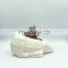 cute polar biodegradable bear ceramic succulent planter plant pot set