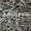 Dried Anchovy Fish With Best Price From Vietnam