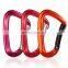 JRSGS China Supplier Carabiner 7075 Aluminum D Shape Carabiner Clip Wholesale 24KN Snap Hook Outdoor Custom Logo S7801