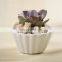 Wholesale Modern Simple White Decorative Garden Flower Pot Round Shell Shape Ceramic Succulent Plant Pot