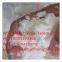 High Quality CAS 56038-13-2 Sucralose Manufactory Supply