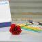 Cheap Mastor multi-colored fresh cut carnations