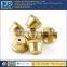 Custom cnc machining brass mechanical body parts