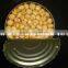 Canned Mushroom Top Quality