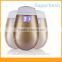 Intelligence Temperature control home use galvanic facial machine firming Facial home beauty equipment