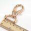 RoHS certificate high quality standard fast delivery snap hook carabiner wolesaler from China