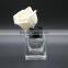40ml mini square glass reed diffuser bottle with black screw cap wholesales                        
                                                                                Supplier's Choice