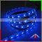 Hot Sell 2016 New Product RGBW Led Strip Light DC12v 24v Controllable Double Sided Tape