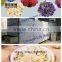 high efficiency vegetable and fruit drying machine for sale