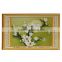 Lowest Price Handmade Needlework Embroidery Kit DIY Counted Cross Stitch Set 3D Precise Printed Magnolia Flower Butterfly