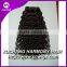 PRETTY remy kinky curly hair extension weft