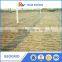 Basalt Geogrid