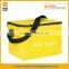 Peva Liner Insulated Lunch Cooler Bag
