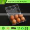 Blister Process Type and Accept Custom Order egg tray