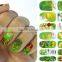 Customized 3D Korea Nail Polish Sticker Full Cover Self-adhesive Nail Art Sticker