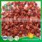 New Food Chinese Frozen Dry Strawberry Slice, Chips