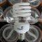 Compact Fluorescent Lamp