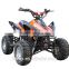 1000W Cheap Electrical ATV for sale