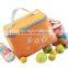 cheap cool carry insulated cooler bag for women