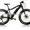 fat tire beach cruiser electric bicycle bike with CE EN15194 ( HJ-M21 )