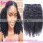 Wholesale Factory Price 10-30" Afro Kinky Curly Clip in Hair Extensions Virgin Brazilian Clip in Hair Extension