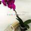 Factory price high quality cut hole hang tags self adhesive sticker label