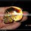 Nature Crystal skull wholesale citrine crystal skull