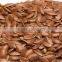 linum usitatissimum(flax seed)