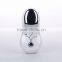 Top Selling Strong Recommended Facial Mini Ionic Massager with CE & ROHS