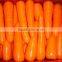 frozen IQF carrot/frozen sliced carrot