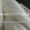 FRESH!!!100% merino wool yarn,2/22NM-2/36NM,raw white/bleached white/dyed color