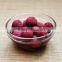 good quality Canned arbutu in light syrup