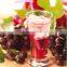 95% Proanthocyanidins Organic Grape Seed Extract