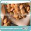 top quality raw organic apricot seeds, sweet apricot kernels for nuts and seeds company with wholesale price