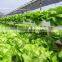 agriculture vermiculite in Vermiculite type for growing media