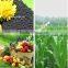 High quality Slow Release Fertilizer Npk 12-1-2 Humic Acid + Amino Acid Granule