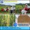 Whirlston currently in stock quick delivery middle rice paddy soybean combine harvester machine