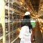 H type broiler chicken cage weight 9 kg each cage