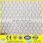 Hexagonal Wire Mesh for Pet Cage