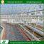 Industrial greenhouse hydroponics system for sale