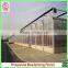 Large Muti-span Hydroponical Polycarbonate Sheet Greenhouses From China Manufacturer